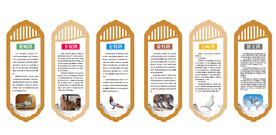 常见的几种养殖肉鸽
