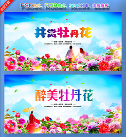 牡丹花