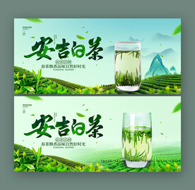 安吉白茶