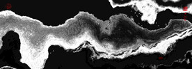 黑白水墨画