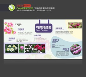 芍药