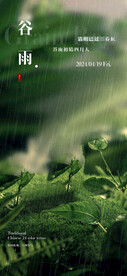 谷雨