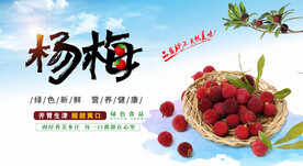 杨梅