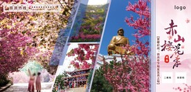 樱花节背景板