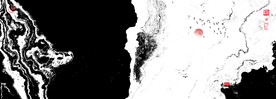 泼墨装饰画