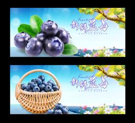 蓝莓