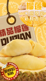 榴莲海报