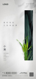 小满节气海报