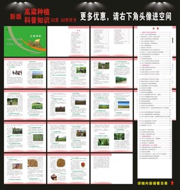高粱种植