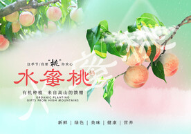 水蜜桃（作品无水印）