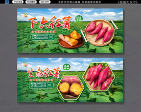 红薯