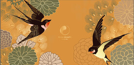 国风花鸟插画