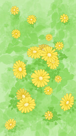 手绘小清新雏菊插画