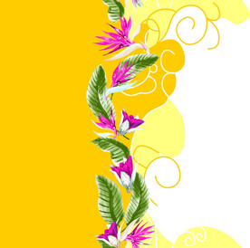 叶子花