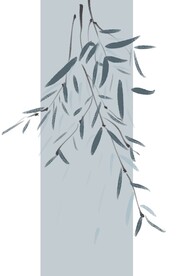 柳树