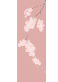 梨花