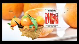 砂糖橘