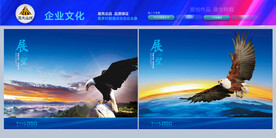 鹰 展翅高飞