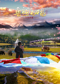 鲁朗林海之旅