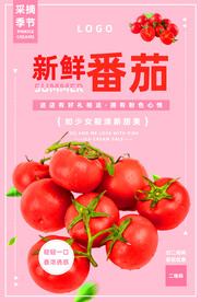 番茄