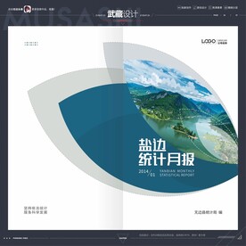 统计月报封面