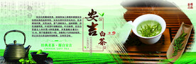 安吉白茶