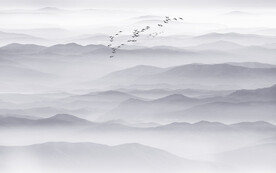 山水水墨画