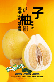 柚子
