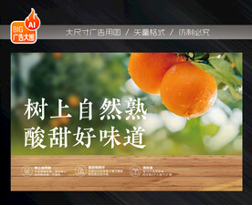 桔子广告