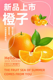橙子