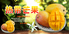 芒果