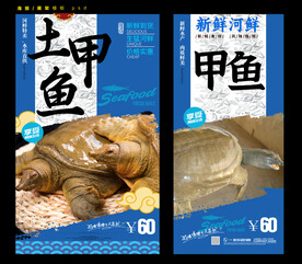 甲鱼