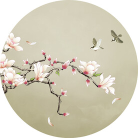 玉兰花鸟