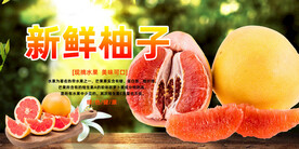 柚子