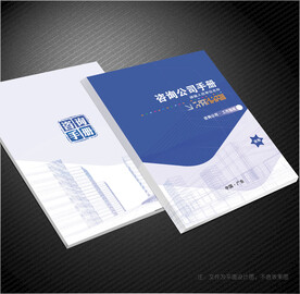 咨询公司封面