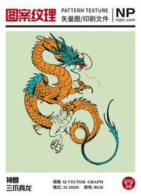 龙图案