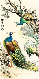 孔雀牡丹图