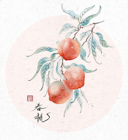 春桃