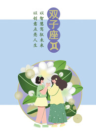 双子座扁平风海报