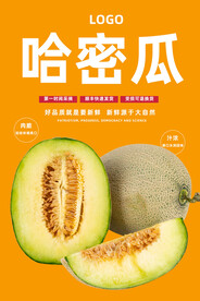 哈密瓜