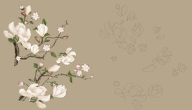 玉兰花