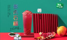 多肉石榴  