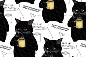 猫咪