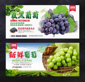 葡萄海报