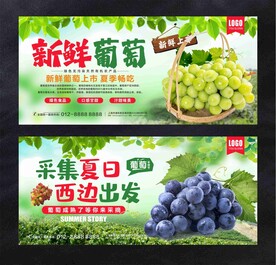 葡萄海报