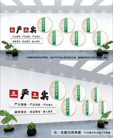 三严三实文化墙