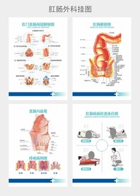 肛肠科挂图