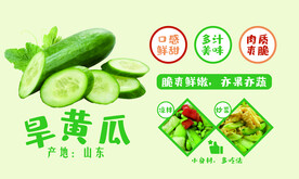 黄瓜