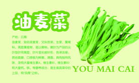 油麦菜