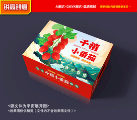 小西红柿包装 小番茄礼盒